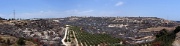 Panorama 82